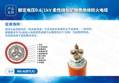 新型防火電纜系列NG-A(BTLY)